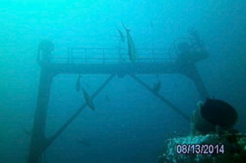 Hailey - A nice view of the shallowest part of the wreck